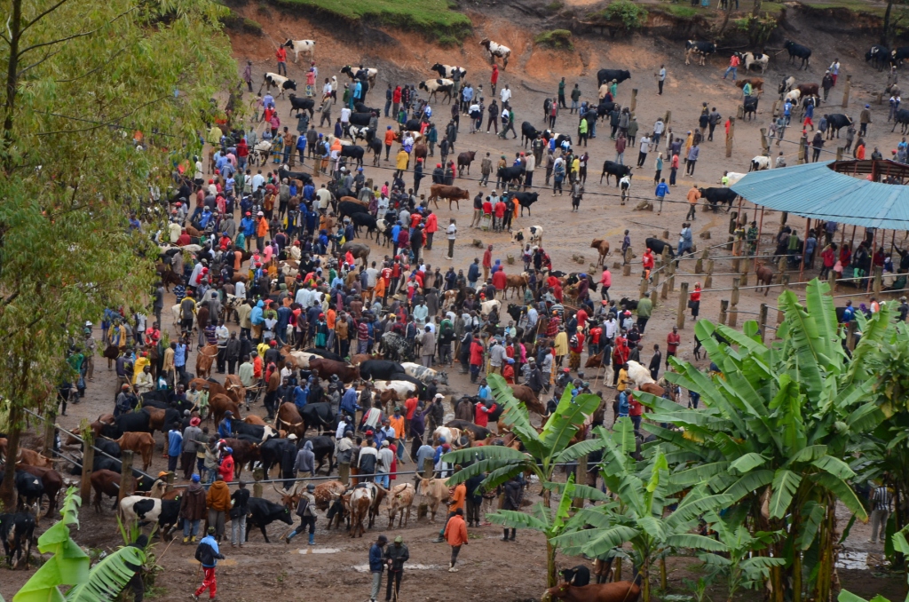 Aba ni abaturage bafite inka mu isoko bifuza ko ryakubakwa ku gira ngo bibakize igihombo