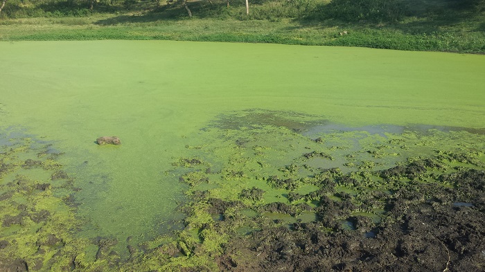 Abafite Valley Dams zasibye nk'iyo mu Mudugudugu wa Gihorobwa Akagari ka Nyagatare bagiye na bo guhabwa amariba y'agateganyo yo kwifashisha mu gihe cy'izuba