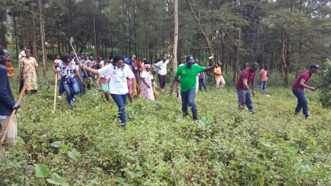 Abaforomo n'ababyaza bafatanyije n'abaturage gutema ibihuru byegereye ingo zabo