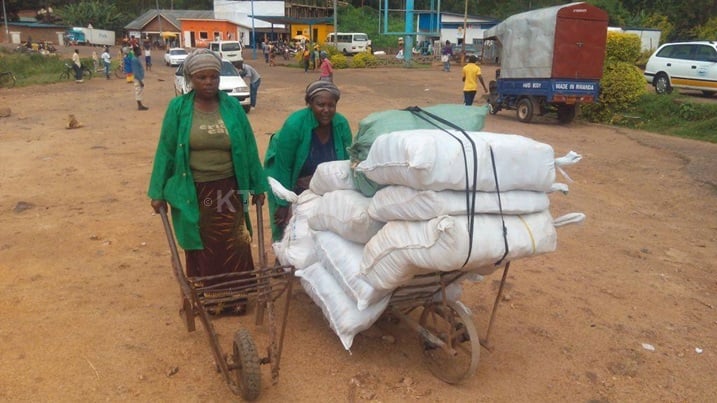 Abagore biteje imbere babikesha ingorofani bifashisha bambutsa imizigo muri Congo.