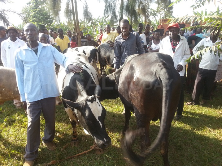 Abahabwa inka muri gahunda ni abakennye kugirango zibakure mu bukene.