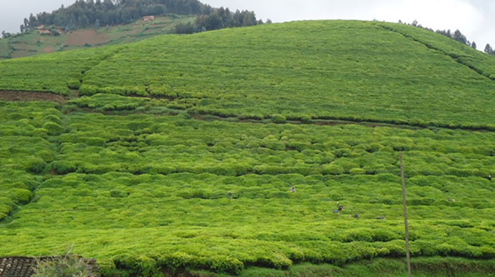 Abahinzi b