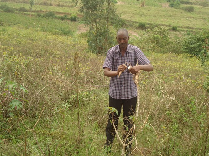 Abahinzi bakomeje kwibaza uko bazishyura banki.