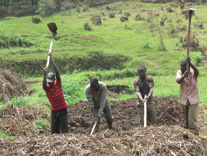 Abahinzi basaba kandi abatekinisiye b'ubuhinzi kubumva kuko akenshi ngo bakora ibyo bababwiye bagahomba kandi ntibagire icyo bafashwa muri icyo gihombo baba babateye (Photo archive).