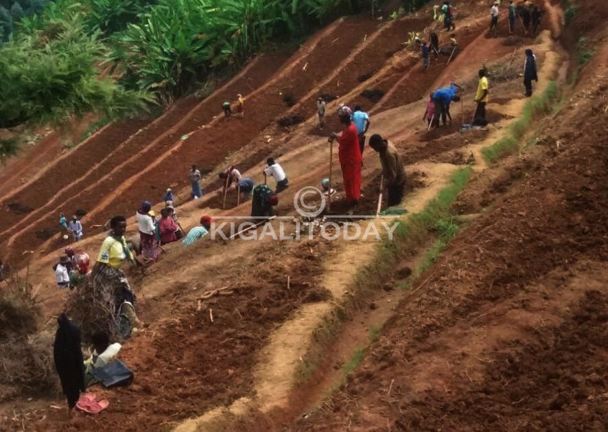 Abahinzi bavuga ko barangije gutegura imirima yabo ariko imbuto y