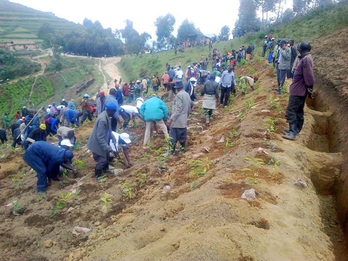 Abahinzi b'icyayi mu gikorwa cyo gutera icyayi.