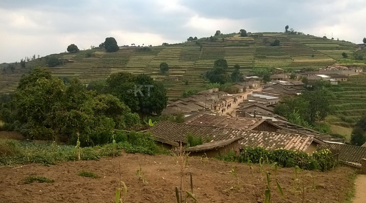 Abahinzi mu murenge wa Buruhukiro bahangayikishijwe n'imbuto y'ibirayi yashaje igatuma ntacyo bagisarura