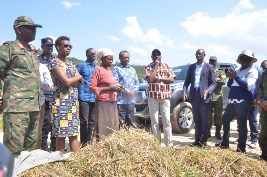 Abahinzi basobanurira abayobozi iby'uburwayi bwatangiye gufata umuceri bahinga mu gishanga cya Kamiranzovu