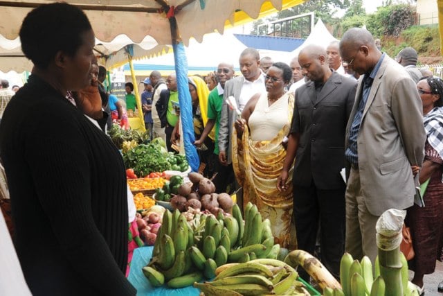 Abahinzi borozi bazamurika umusarueo wabo