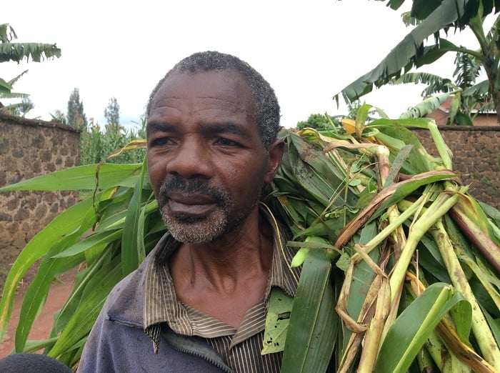 Uyu ni umwe mu bahinzi-borozi uvuga ko ari kenshi imvura igwa ari nyinshi ikangiza imyaka bagasigarira aho