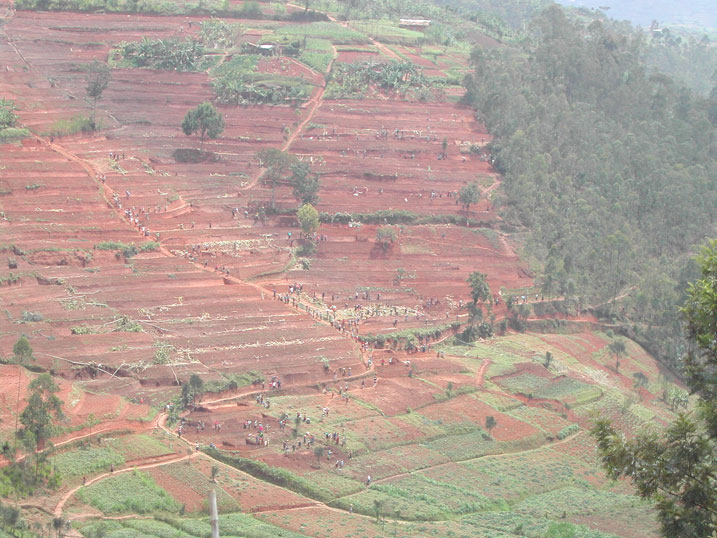 Abakora amaterasi y