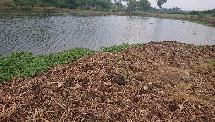 Abakuramo amarebe ngo basa n'abayabagarira
