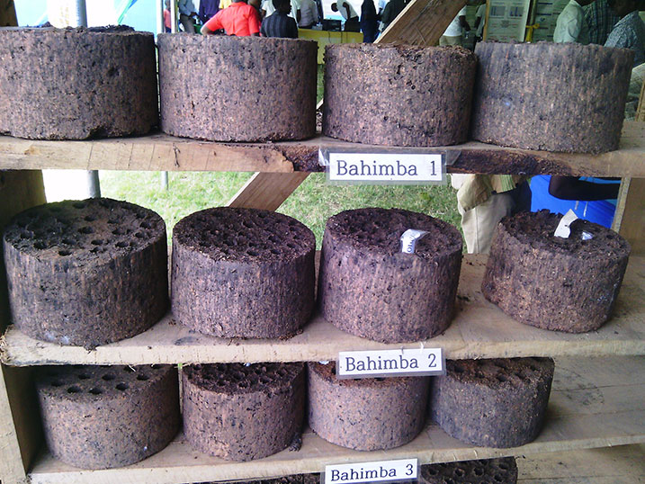 Abanyeshuri bari mu bushakashatsi bwo kubyaza nyiramugengeri ivanze n