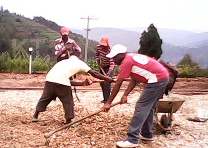 Abari bitabiriye umuganda