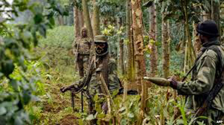 Inyeshyamba za FDLR zakuwe mu birindiro byazo.