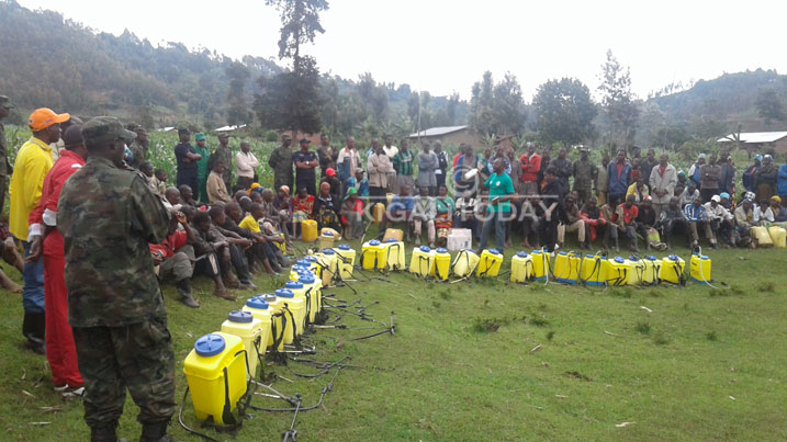 Abaturage barashishikarizwa kwigurira umuti wo kurwanya no kwirinda Nkongwa 