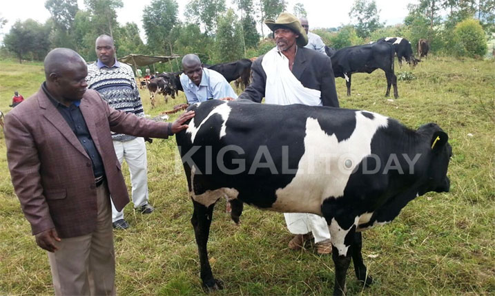 Abaturage batishoboye bahawe inka muri Gahunda ya Girinka bibakura mu bukene.