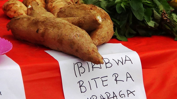 Bamwe mu baturage bavuga ko bafite ibyo kurya ariko batazi kubiteguramo indyo yuzuye.