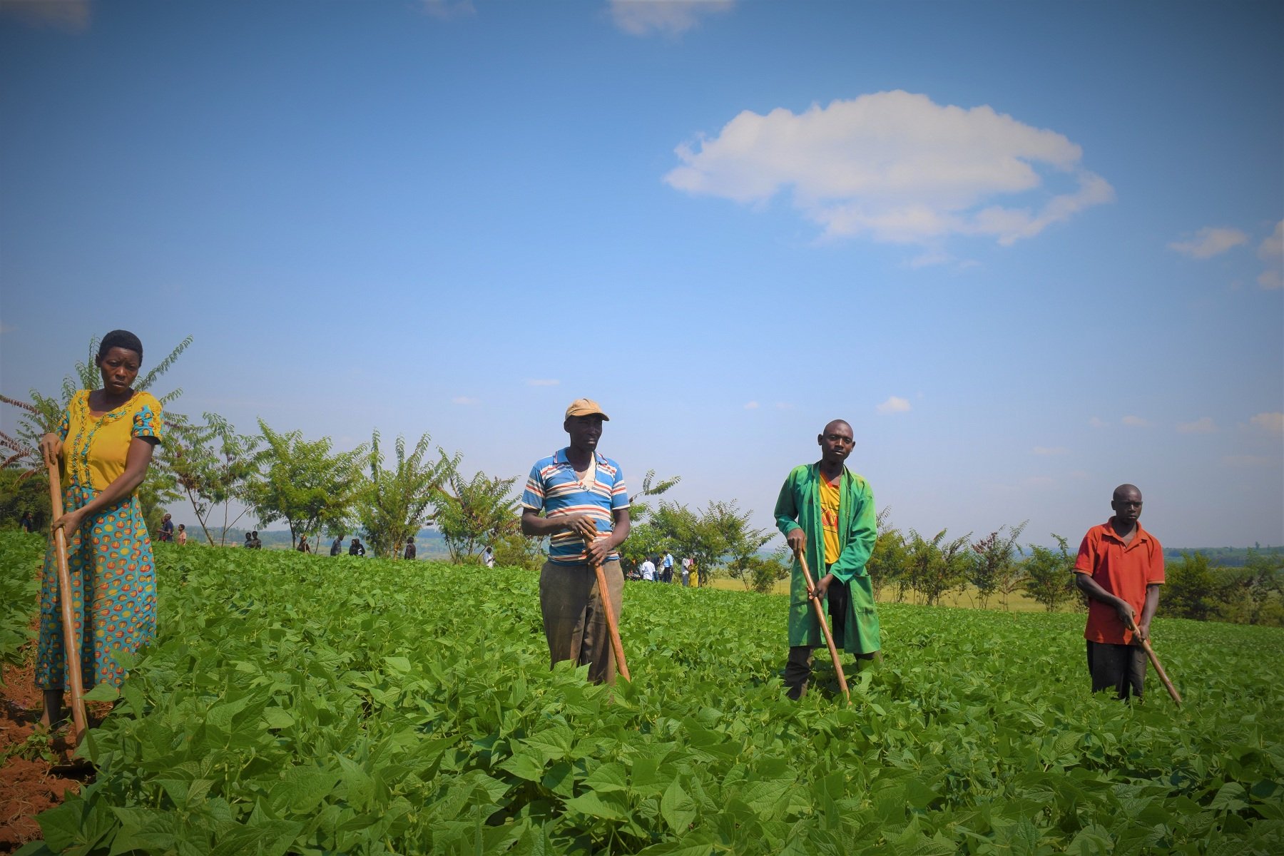 Abaturage bahuguwe na Holland Green Tech banahawe akazi