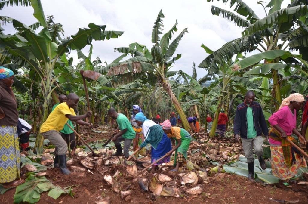 Abaturage bishimiye gufatanya n'ingabo zabo kurwanya kirabiranya yenda kubamaraho urutoki