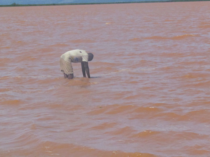 Abavoma aya mazi bavuga ko mu gihe cy'izuba aba ari urubogobogo.