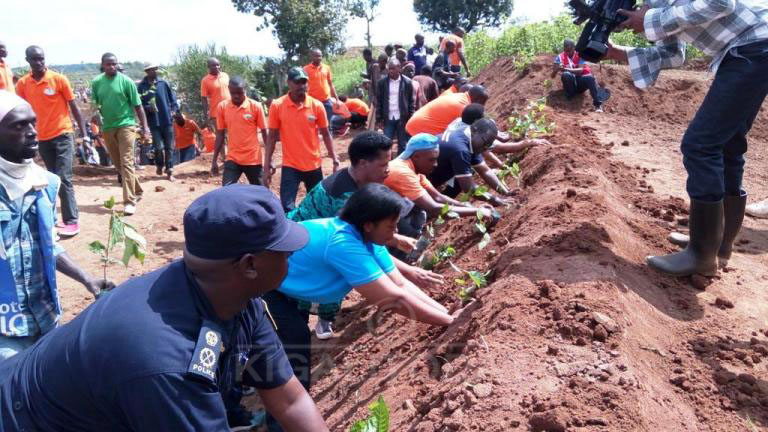 Abayobozi batandukanye barimo Umuyobozi w'Intara y'Amajyepfo Mureshyankwano Marie Rose, Abadepite n'abakozi b'ikompanyi itwara abagenzi Horizon Express batera ibiti