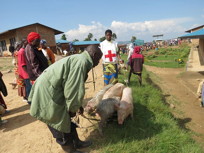 Aborojwe bavuga ko bazabyara umusaruro amatungo bahawe.