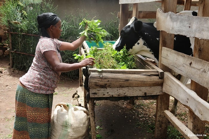 Abaveterineri basabwa gukorana bya hafi n