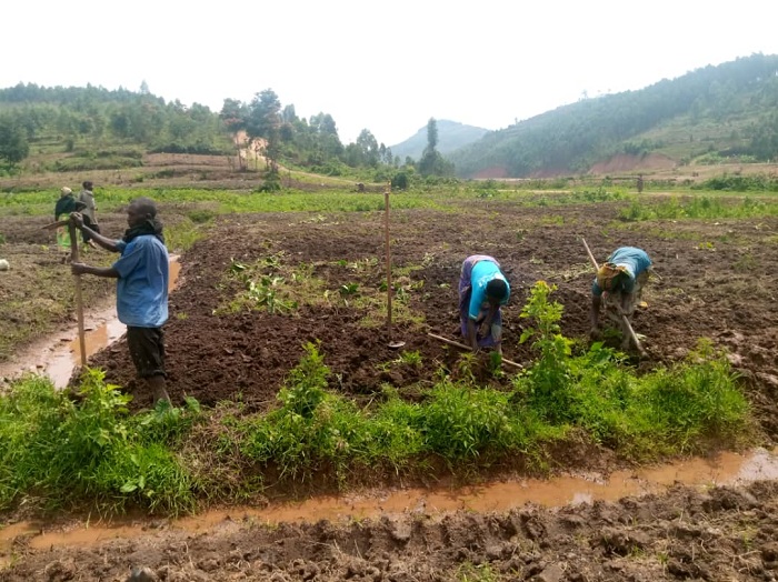 Abahinga mu Gishanga cy