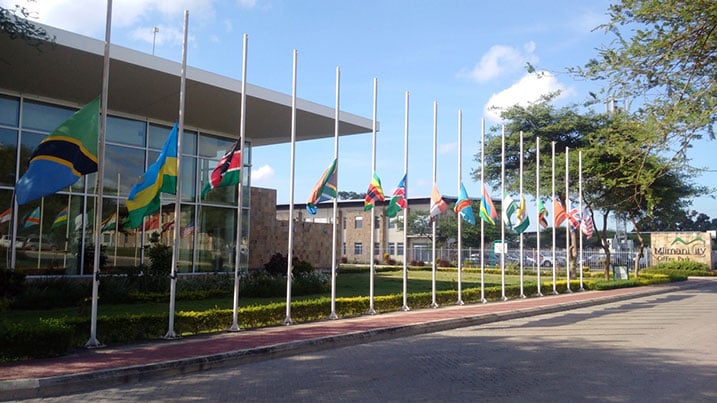 Ibendera rya Tanzaniya, iry