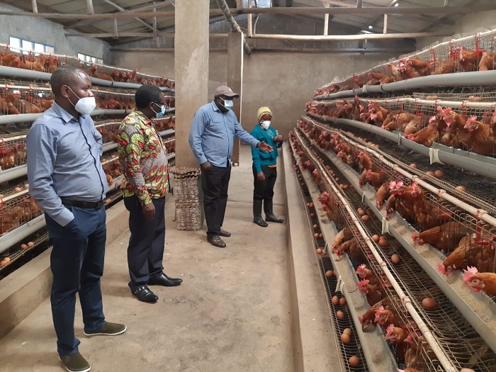 Guverineri Gatabazi aherekejwe n'Umuyobozi w'Akarere ka Gakenke n'Umuyobozi wungirije ushinzwe iterambere ry'ubukungu muri ako karere yashimiye abo borozi