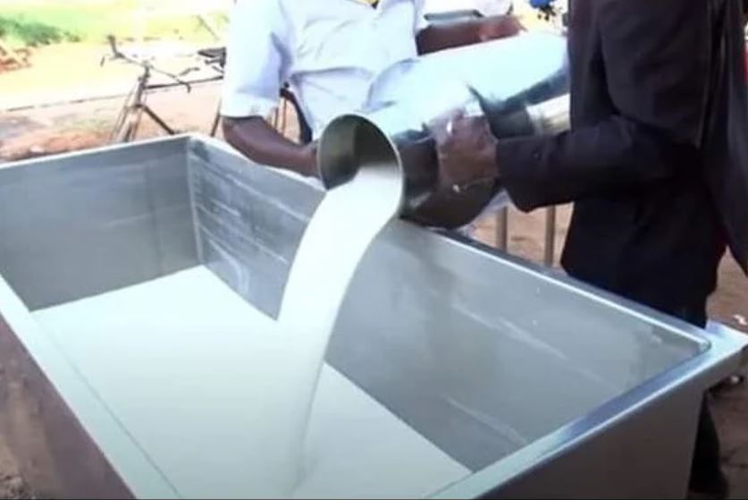 Barasabwa kwita kuu guteza imbere ubworozi kugira ngo babone umukamo uhagije wo kugemura ku ruganda rukora amata y'ifu