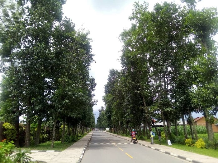 Gahunda yo gushyira amatara ku mihanda izakemura ubujura bwitwikiriye umwijima