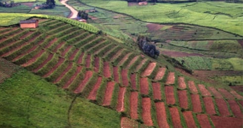U Rwanda ruri mu bihugu byatangiye guhangana n