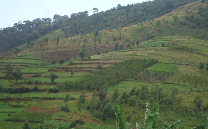 Amaterasi nibyo bikorwa VUP yibandaho i Kiyombe.