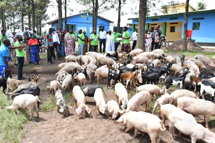 Abagore borojwe amatungo magufi bahamya ko azabageza ku iterambere