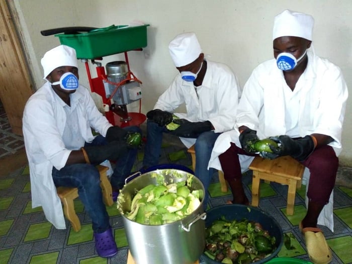 Uruganda rubyaza avoka amavuta rwatanze akazi ku bakozi barindwi barimo bane bahoraho