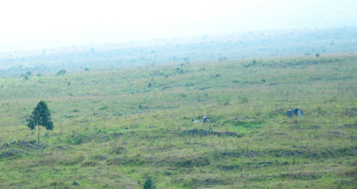 Amwe mu mahema y'abasirikare ba Kongo bashinze mu kibaya yegereye aho abaturage baragira amatungo.