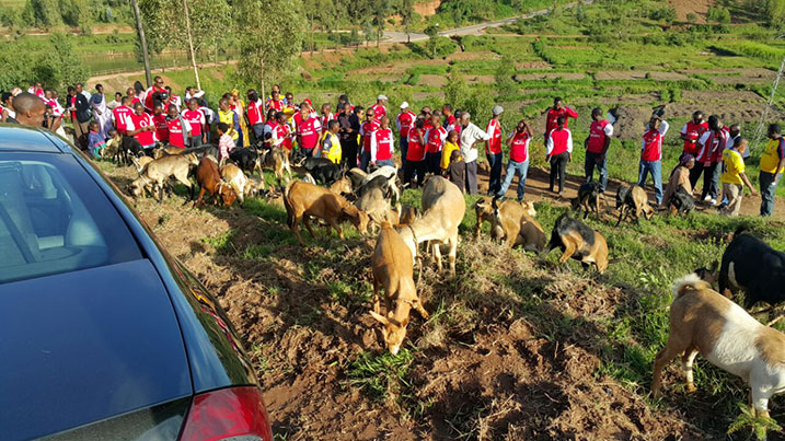 Baremeye abarokotse Jenoside babaha ihene ndetse n'umuganda.