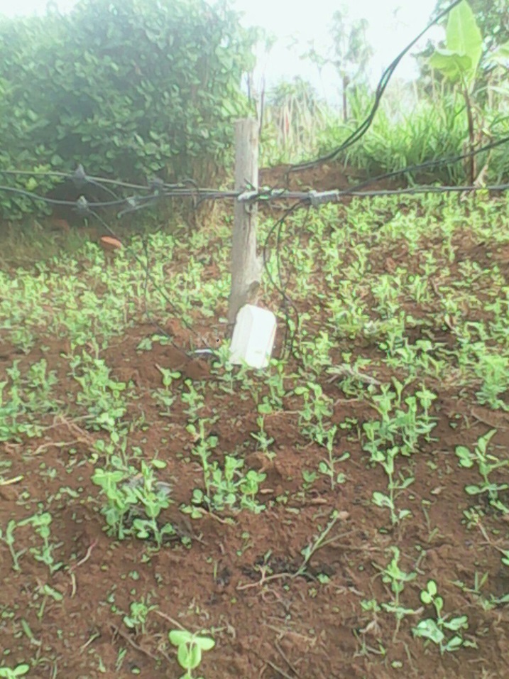 Izindi usanga zinyanyagiye mu mirima y'abaturage n'ibiti by'amapoto byaraguye.