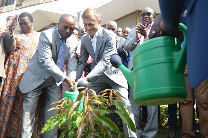 Bafashe umwanya wo kuvomerera igiti cy'amahoro cyatewe umwaka ushize ku munsi w'amahoro.