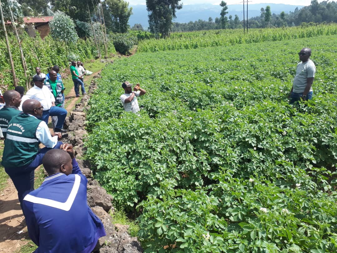 Bashimiye umuturage wateje imbere ubuhinzi bw'ibirayi akaba amaze imyaka itatu akorana na BK mu bwishingizi