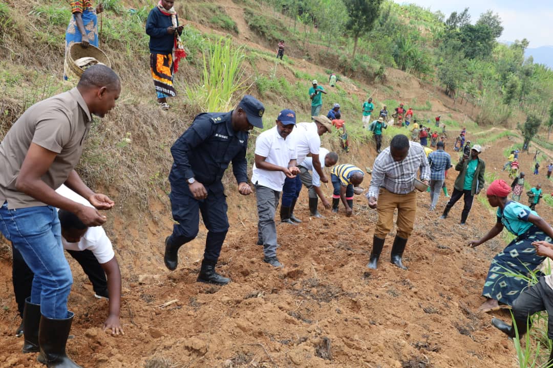 Bahinze imbuto nshya yatuburiwe mu Karere ka Ngororero