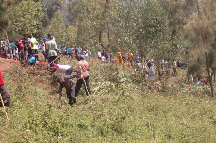 Bamwe batemaga ibihuru abandi basibura imirwanyasuri ifata amazi aturuka kuri Mont Kigali.