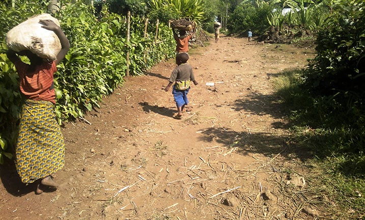 Bamwe mu bana bo mu Karere ka Burera bakoreshwa imirimo ivunanye irimo gutunda ifumbire no kwahirira amatungo.