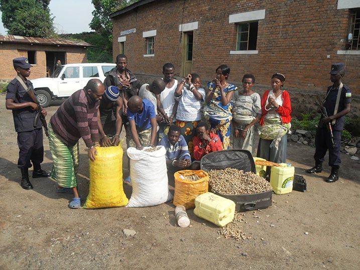 Bamwe mu bafashwe bakwirakwiza urumogi mu Karere ka Rubavu.