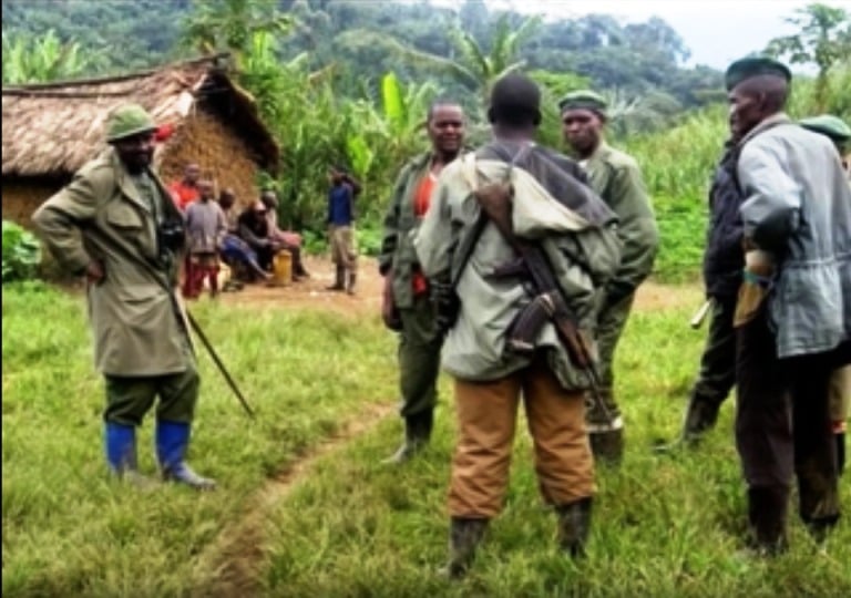 Bamwe mu barwanyi ba FDLR bari mu mashyamba ya Congo