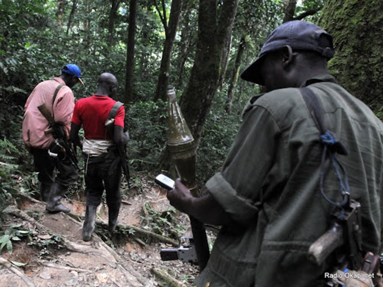 Bamwe mu barwanyi ba FDLR bari mu mashyamba ya Kongo