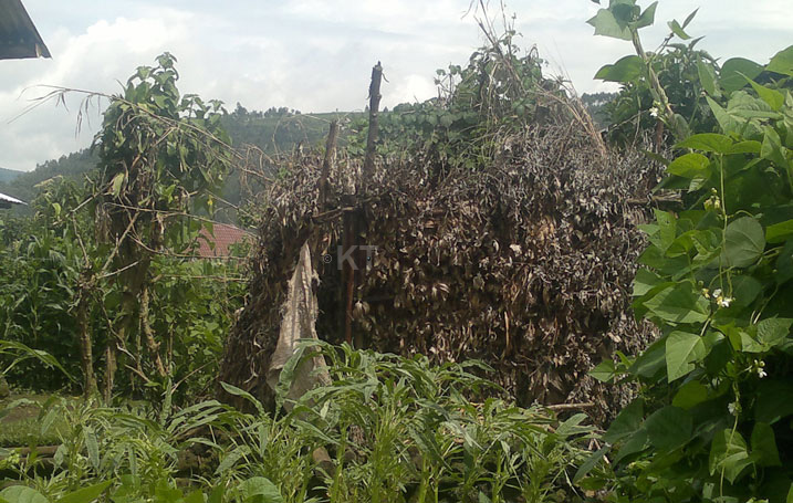 Bamwe ntibagira imisarane yujuje ibyangombwa kubera ubushobozi buke