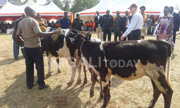 Banoroje imiryango itatu itishoboye.